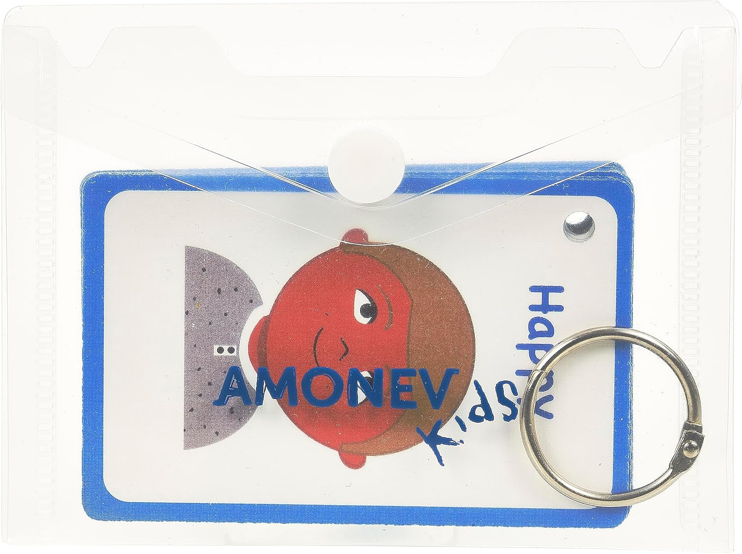 My Feelings and Emotion Boys Flash Cards for Visual Aid Special Ed, Speech Delay Non Verbal Children and Adults with Autism, Special Needs ASD ADHD (Mix Boys)